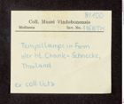Etikett zu thailändische Tempellampe (NHMW-ZOO-MO-0081100-ETH-116)